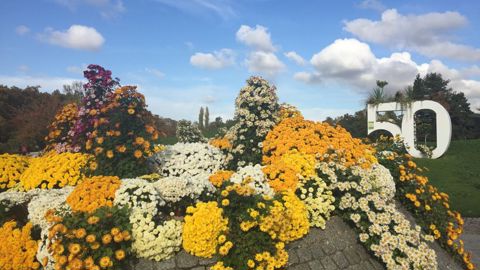 La journée d’études « le jardin de demain » était organisé dans le cadre des 50 ans du Parc Floral de Paris © Léna Hespel